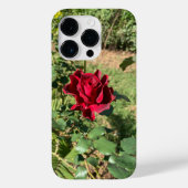 Coque Deep Red Rose iPhone 14 Pro (Verso)