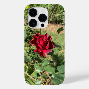 Coque Deep Red Rose iPhone 14 Pro