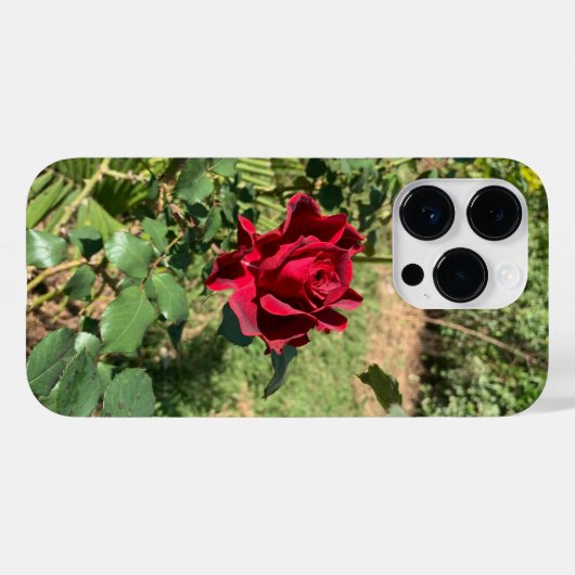 Coque Deep Red Rose iPhone 14 Pro (Verso (horizontal))