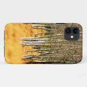 coque des bois de peuplier (Dos (Horizontal))