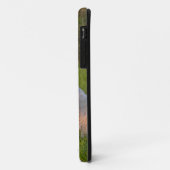 Coque des Grands Pyrénées (Dos/Gauche)