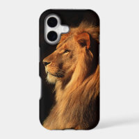 Coque d'iphone Lion Mâle Africain par Steven Holt