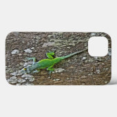 Coque Gecko (Verso (horizontal))