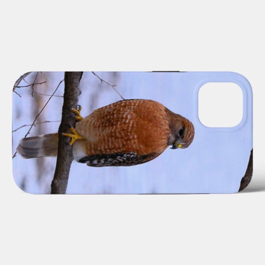 Coque hawk à épaules rouges iPhone 13 (Verso (horizontal))
