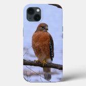Coque hawk à épaules rouges iPhone 13 (Verso)