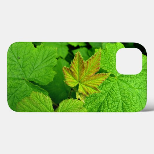 Coque Ipad Air Feuille vert (Verso (horizontal))