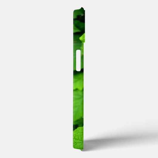 Coque Ipad Air Feuille vert (Verso / Droite)
