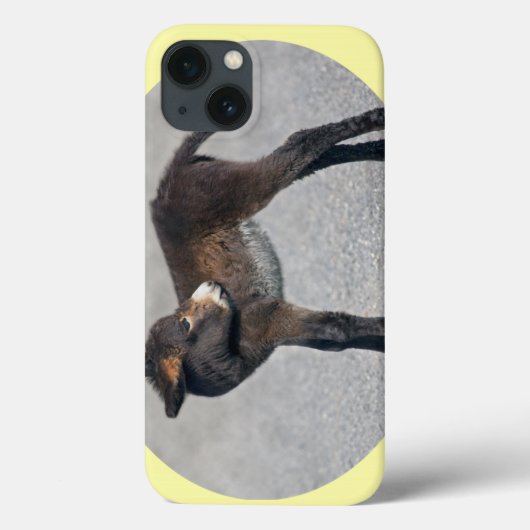 Coque ipad Burro (Verso)