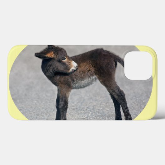 Coque ipad Burro (Verso (horizontal))