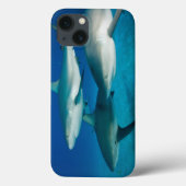 Coque ipad de trio de requin (Verso)