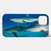 Coque ipad de trio de requin (Verso (horizontal))