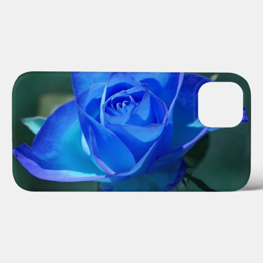 Coque ipad Rose bleu vierge (Verso (horizontal))