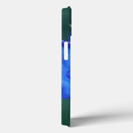 Coque ipad Rose bleu vierge (Verso / Droite)