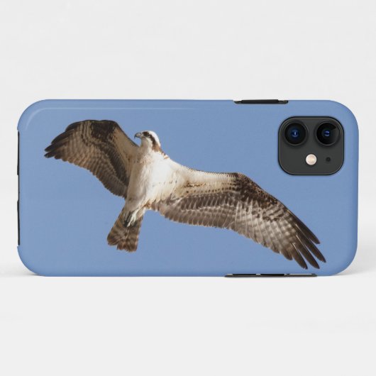 coque iPhone 11 avec balbuzard (Dos (Horizontal))