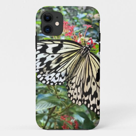 Coque iPhone 11 Butterfly (Dos)