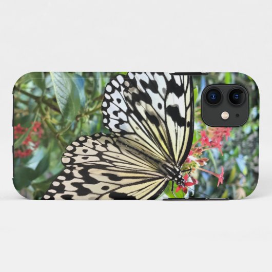 Coque iPhone 11 Butterfly (Dos (Horizontal))