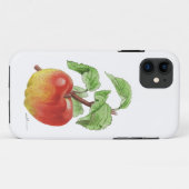 Coque IPhone 11 "Pomme Jeanne Hardy" (Dos (Horizontal))