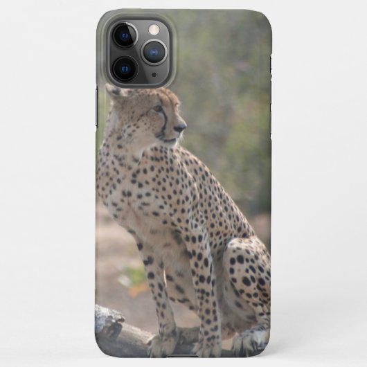 Coque iPhone 11Pro Max Cheetah assis sur un arbre tombé dans la nature (Dos)