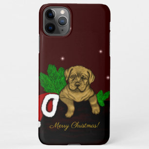 Coque iPhone 11Pro Max Chiffre XMas