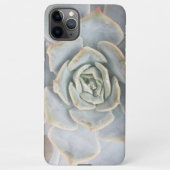 Coque iPhone 11Pro Max Graptoveria Huths Pink Electronics Sac (Dos)