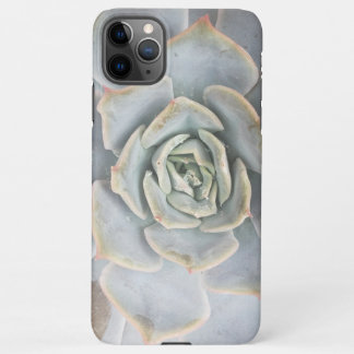 Coque iPhone 11Pro Max Graptoveria Huths Pink Electronics Sac