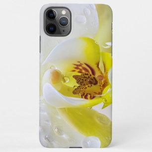 Coque iPhone 11Pro Max Orchid Dew