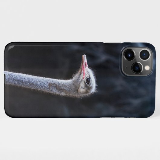 Coque iPhone 11Pro Max portrait d'autruche (Dos Horizontal)