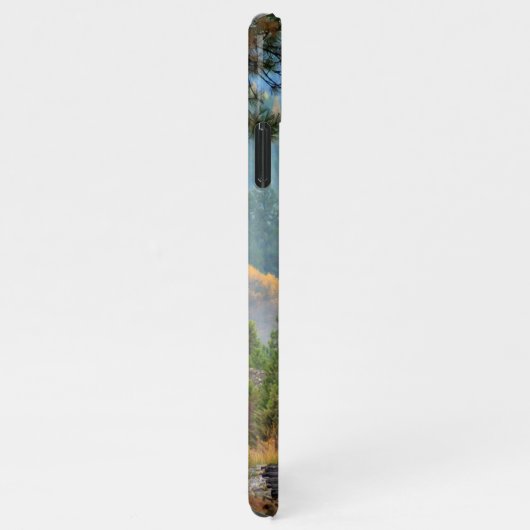 Coque iPhone 11Pro Max Train 19 (Côté droit)