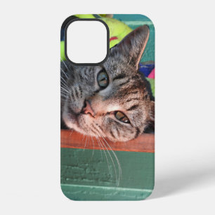 Coque iPhone 12 Amour de chat