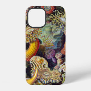 Coque iPhone 12 Anémone de mer Nature scientifique Océan