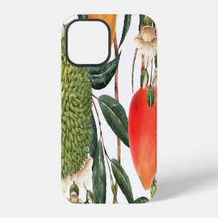 Coque iPhone 12 Aquarelle de durian tropical, motif de mangue.