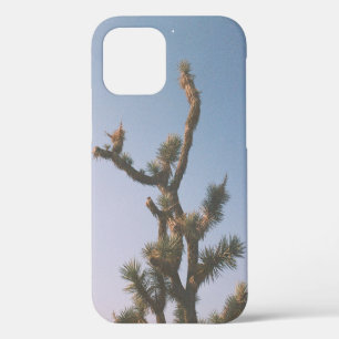 COQUE iPhone 12 ARBRE VERT ET BROWN SOUS LE CIEL BLEU