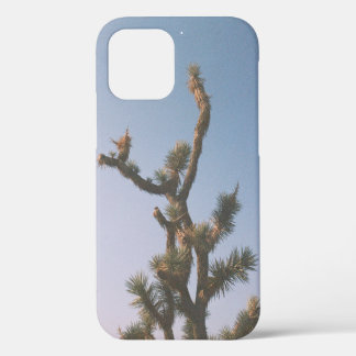 COQUE iPhone 12 ARBRE VERT ET BRUN SOUS CIEL BLEU