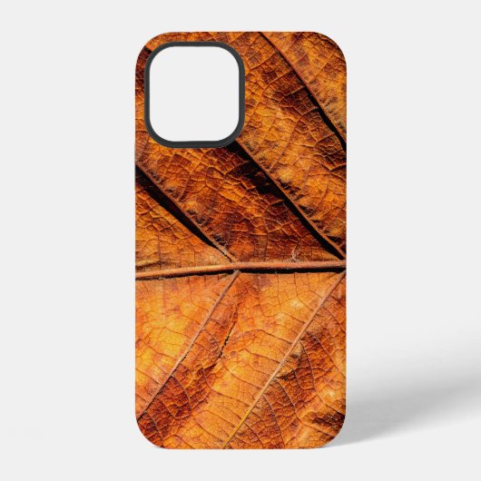 Coque iPhone 12 Arrière - plan de texture feuille sèche (Verso)