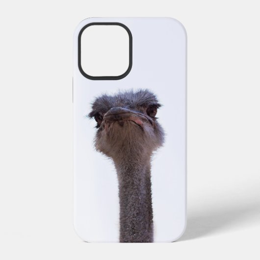 Coque iPhone 12 Autruche Oiseau (Verso)