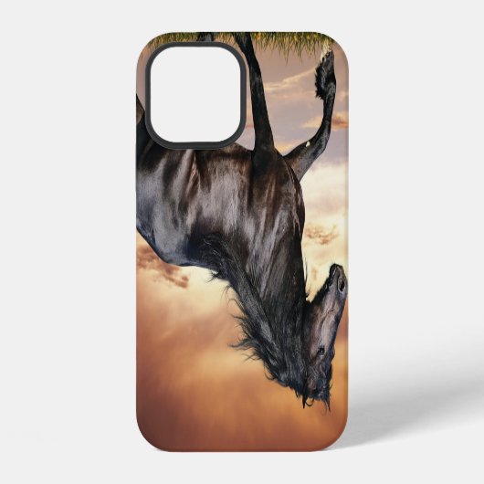 Coque iPhone 12 Beau Cheval Noir (Verso)