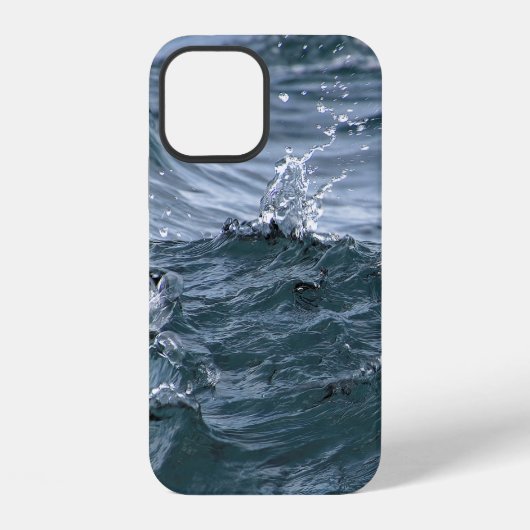 Coque iPhone 12 Bouche d'eau du lac (Verso)