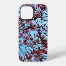 Boucles de fleurs roses sur un arbre