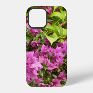 Coque iPhone 12 Bougainvillea Floral Pourpre Tropical