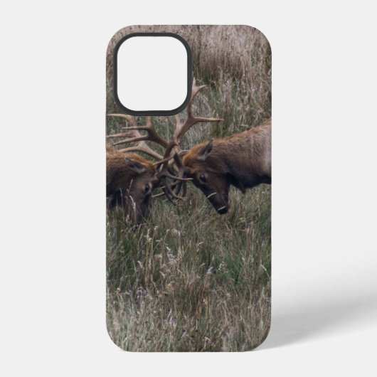 COQUE iPhone 12 CERFS COMBATTANTS (Verso)