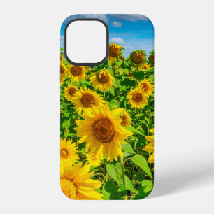 Coque iPhone 12 Champ de tournesols en journée ensoleillée d'été.