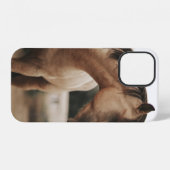 COQUE iPhone 12 CHEVAL BROWN (Verso Horizontal)