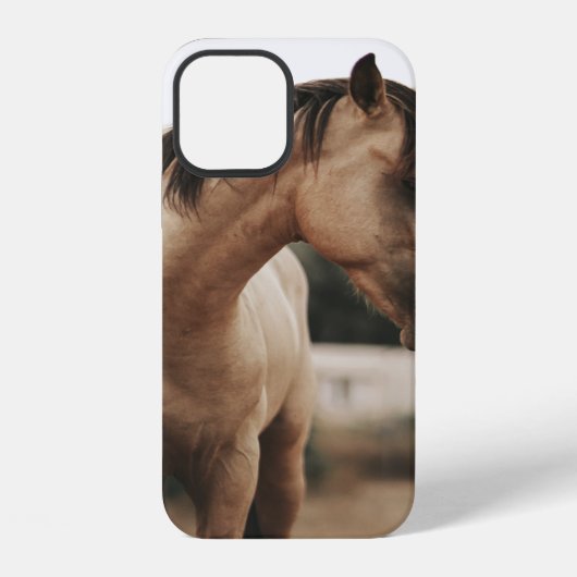 COQUE iPhone 12 CHEVAL BROWN (Verso)