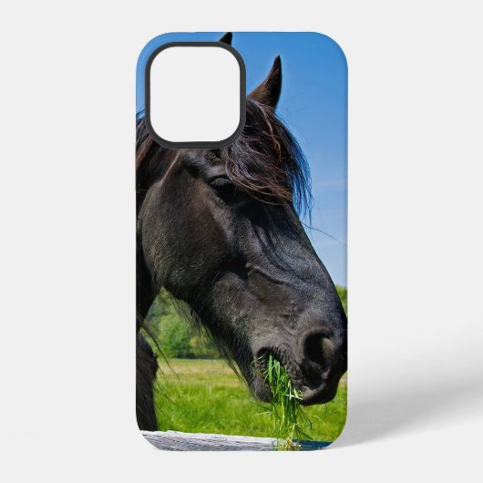 Coque iPhone 12 Cheval friésien noir (Verso)