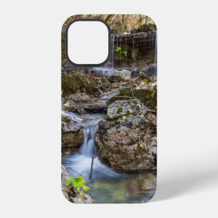 Coque iPhone 12 Conservation Jewel Of Henning