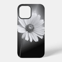 cosmos blanc lumineux sur fond noir