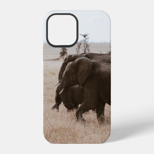 COQUE iPhone 12 COURSE D'ÉLÉPHANTS (Verso)
