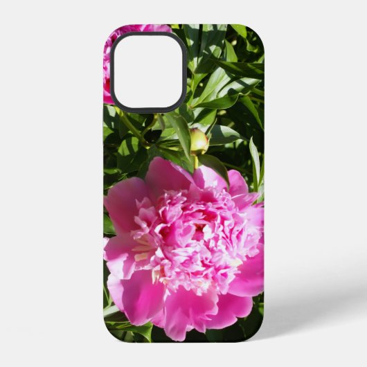 Coque iPhone 12 Dark rose peonies (Verso)