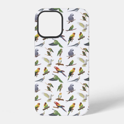 Coque iPhone 12 Divers perroquets colorés (Verso)