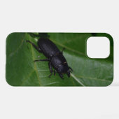 Coque iPhone 12 Dorcus parallelipipedus, le moindre dendroctone du (Verso Horizontal)